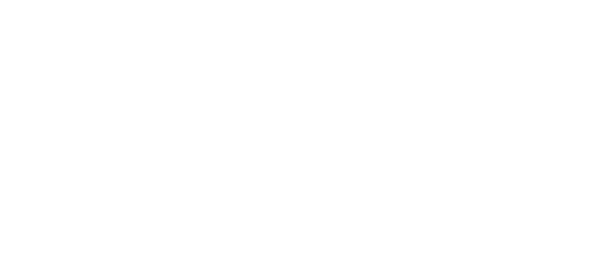 Acer IT Services Logo